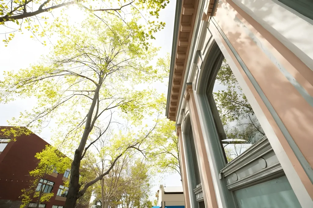 Downtown view of Contra Costa County, CA with historic architecture and spring trees – representing growth and innovation for digital marketing services.